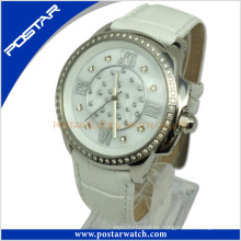 Pad-2236L reloj mecánico de moda con calidad impermeable